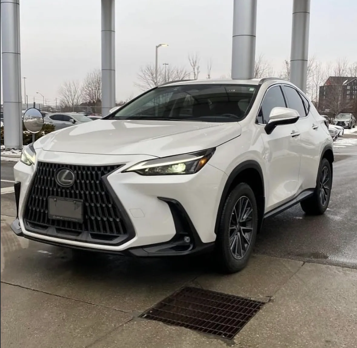 A white Lexus NX SUV